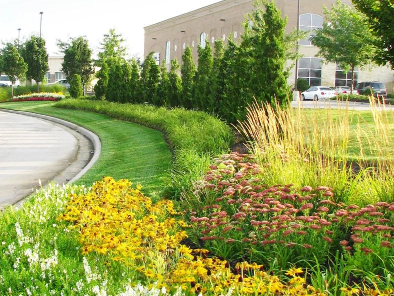Landscaping & Irrigation description image